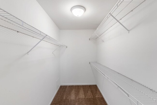 Building Photo - 3501-3503 Delmar Ct.