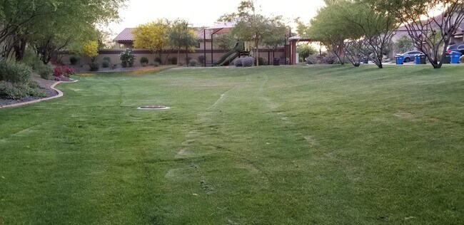 Building Photo - 2248 E Ottawa Ln