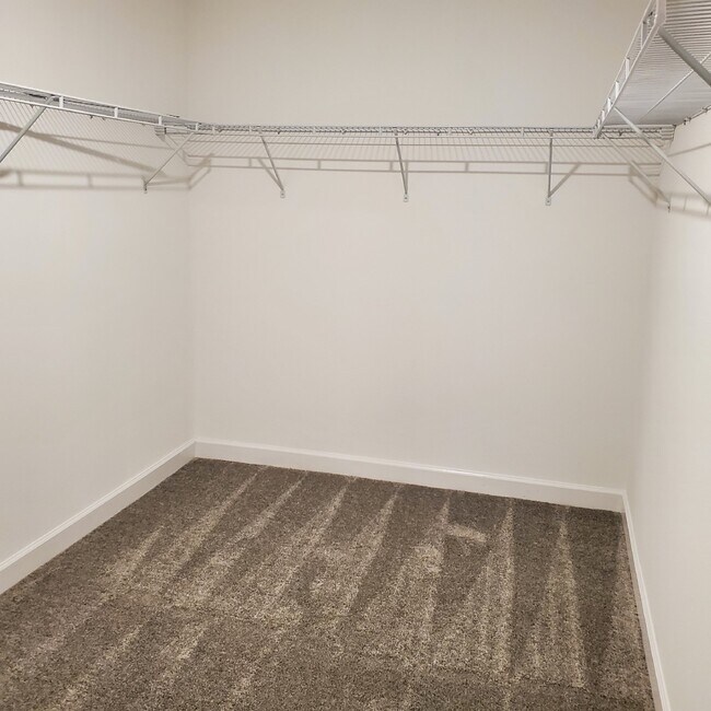 Building Photo - 4 Bedroom House in Soltera Springs