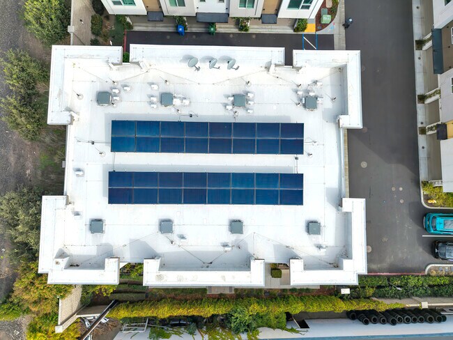 Building Photo - 37335 Duckling Ter