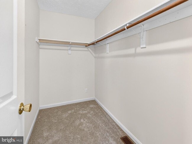 Building Photo - 6120 Gray Wolf Ct