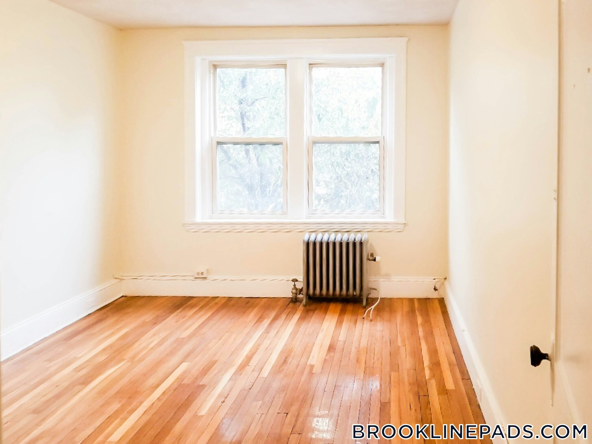 Building Photo - 241 Freeman St