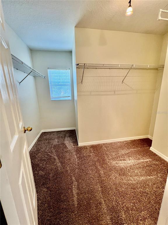 Building Photo - 2509 Silvermoss Dr