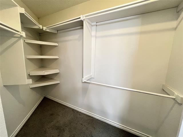 Building Photo - 213 Alexander Ct