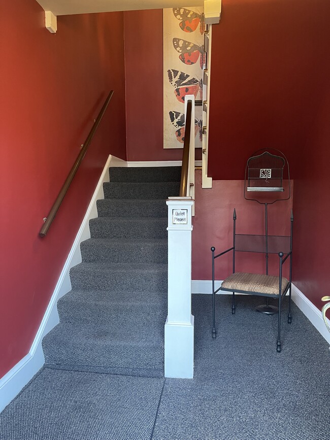 carpeted front hall to upstairs unit - 541 Lamar Ave