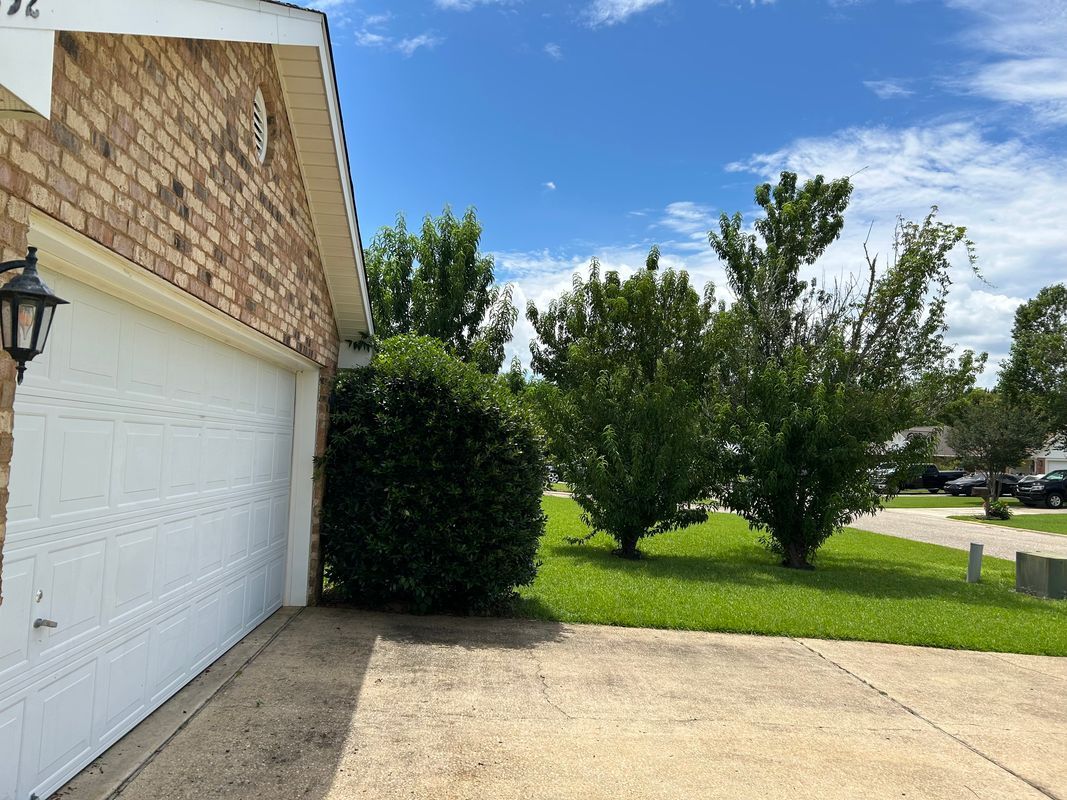 Building Photo - 11892 Yellowhammer Ct