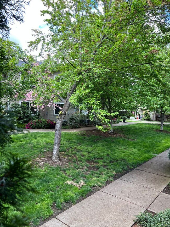 Building Photo - 3163 Juniper Ridge Dr