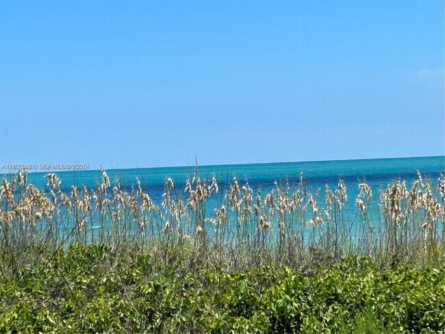 Building Photo - 5151 N Hwy A1A