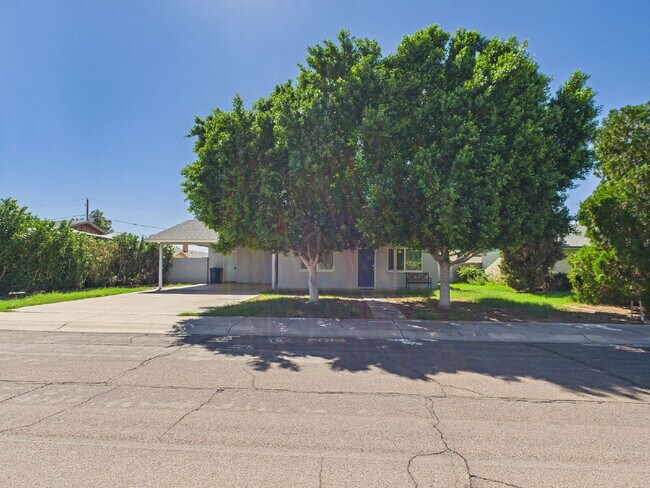 Primary Photo - Tempe Gem - Fully furnished with a pool