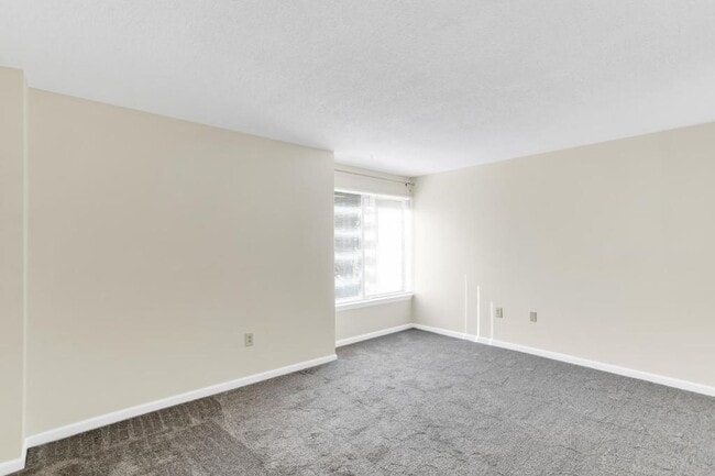 Building Photo - 228 Canal Park Dr