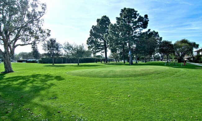 Nine hole Golf Course - 81 W Fiesta Grn