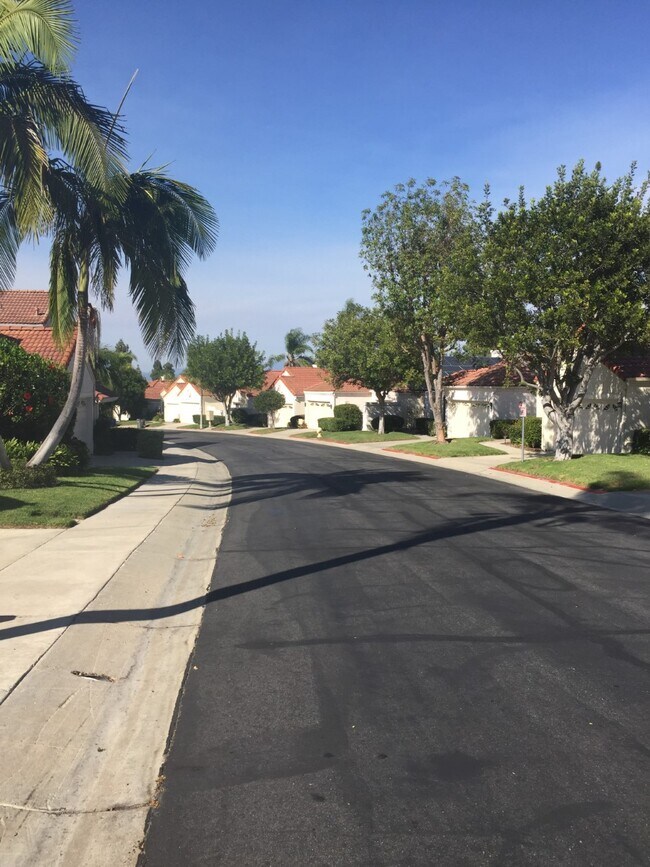 Only one street in the community - 15928 Caminito Aire Puro