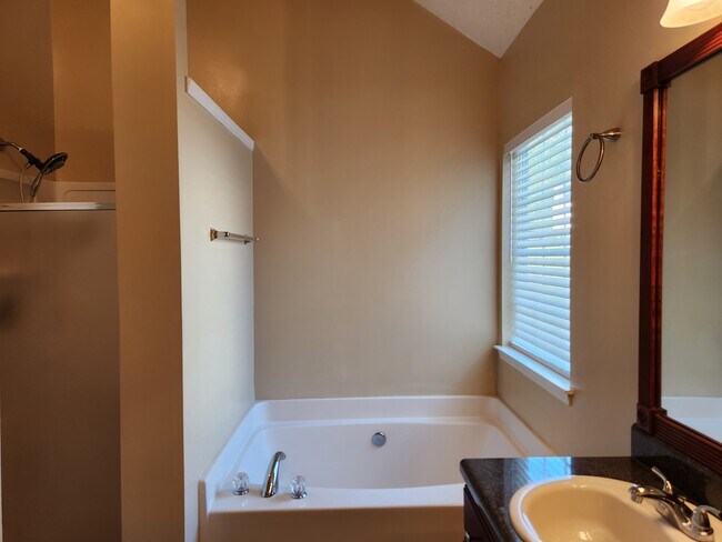 Master Bathroom - 1025 Winding Brook Way