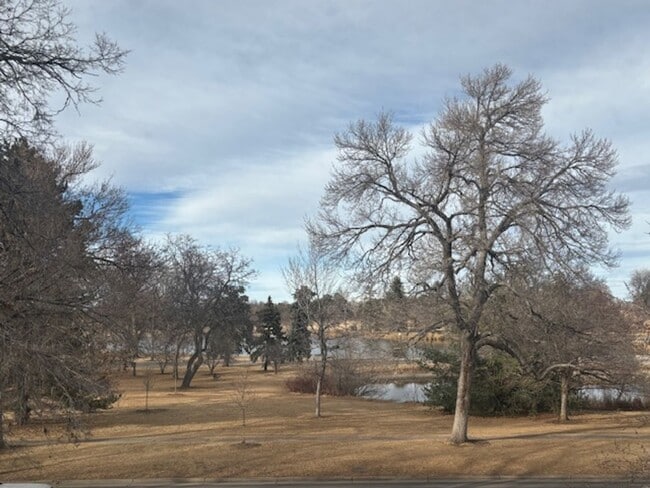 Building Photo - Beautiful Top-Floor 1Bd/1Ba Apartment with City Park Views