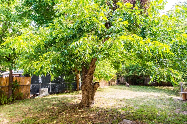 Building Photo - Hyde Park Hideaway! 3/2 with washer/dryer,...