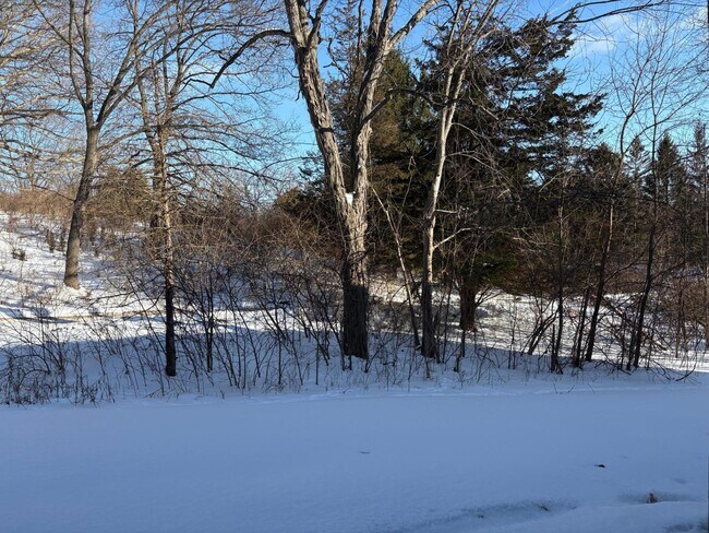 Building Photo - 1005 E Duncan St