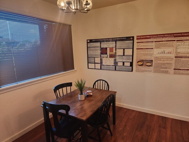 Building Photo - Spacious Lower Level Unit In Beautiful Manette