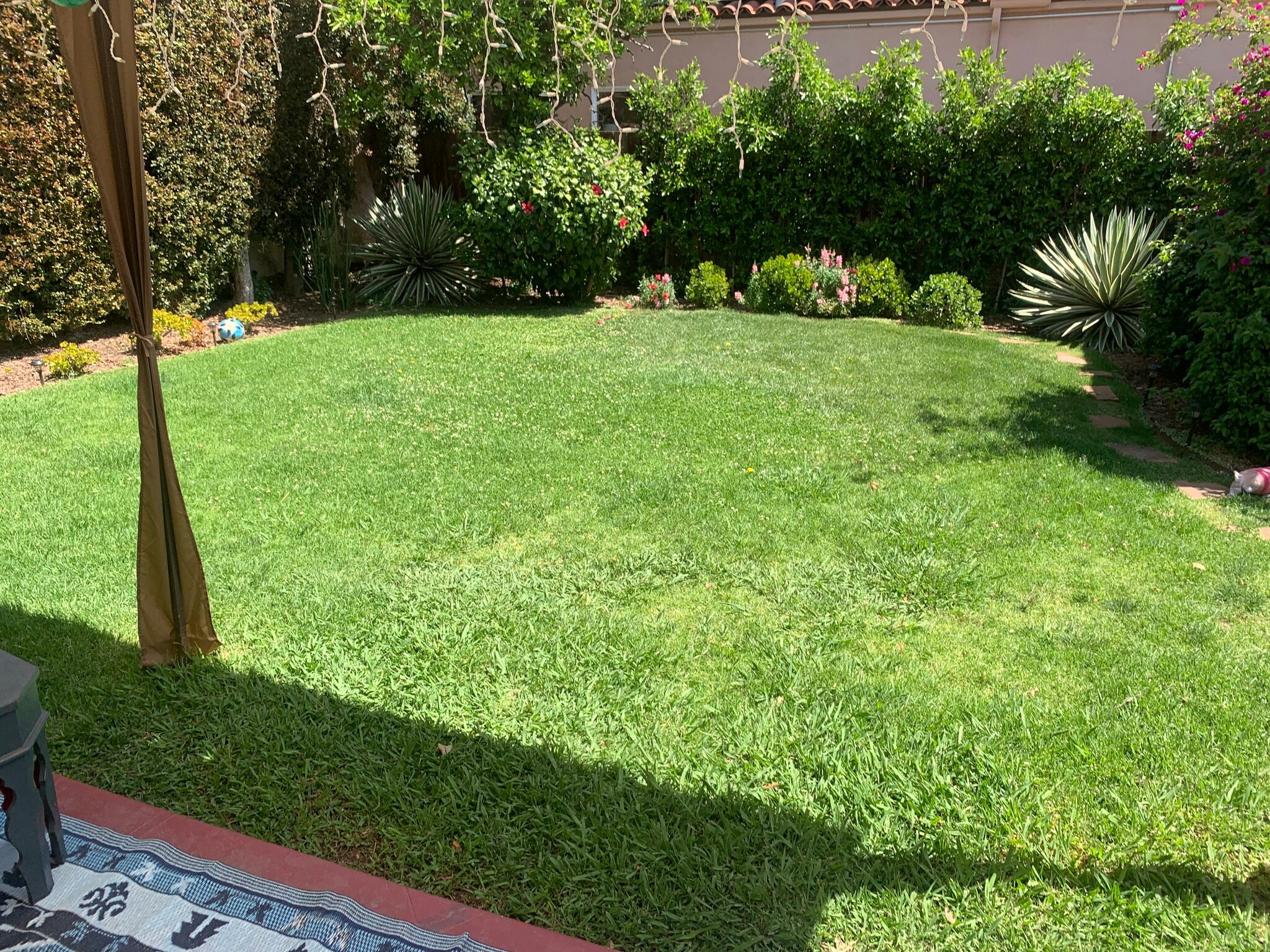 Tenants will access their unit through the backyard. There is a small patio for tenants use - 1158 Hi Point St