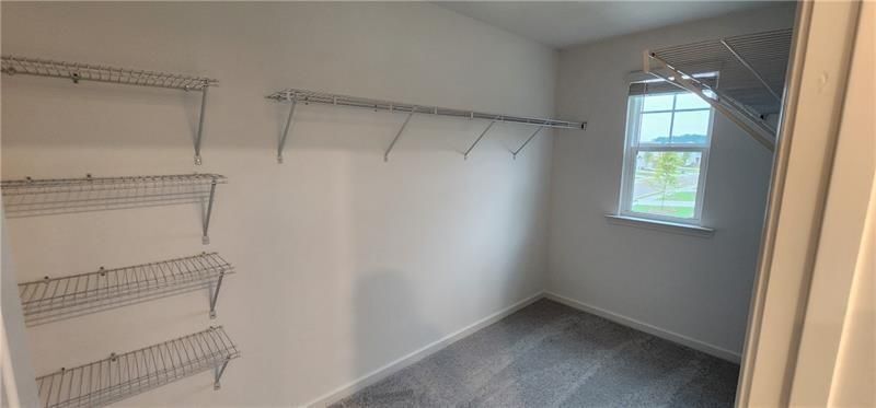 Building Photo - 3600 Cattle Field X-ing