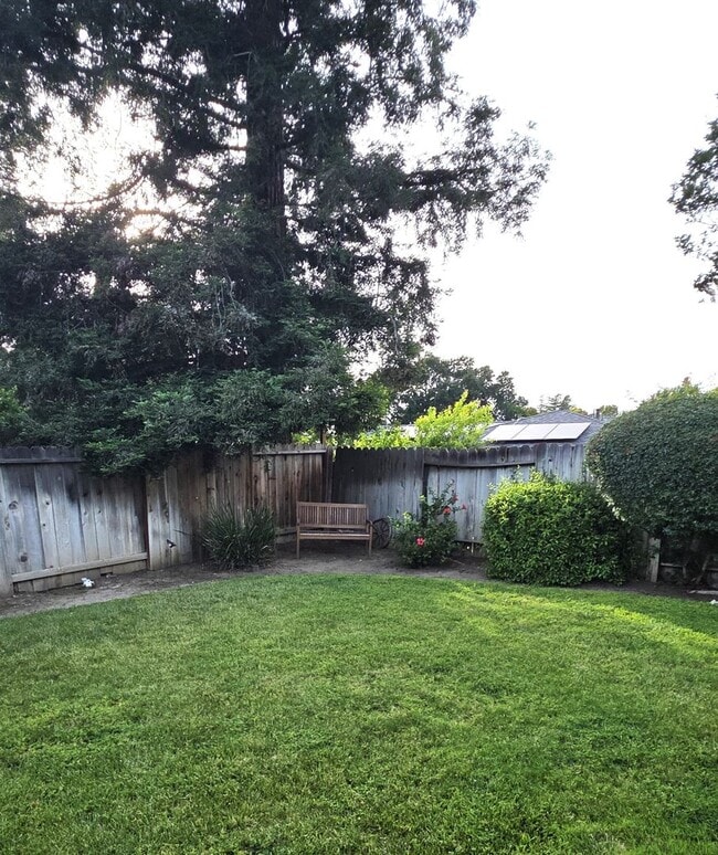 Building Photo - 4BD/2.5BA Single Story, Court Location on Walnut Creek Border
