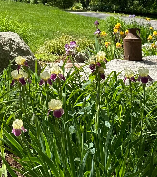 Building Photo - 2 Burdon St