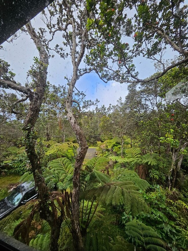 Building Photo - Beautiful Houses Located in Volcano