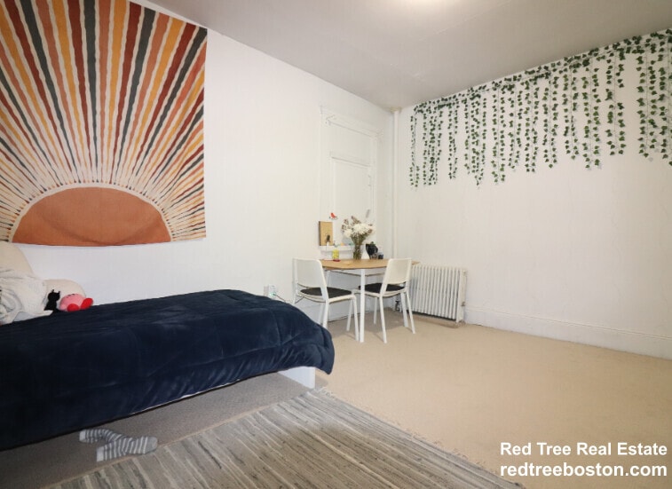 Building Photo - 238 Hemenway St