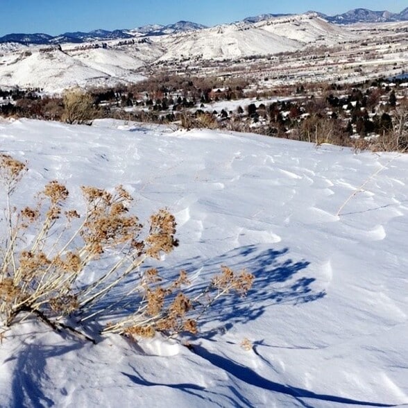 south table mesag - 1005 Moss St