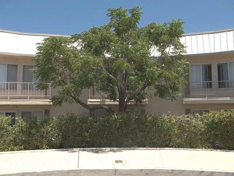 Building Photo - 522 E Ave Q-5