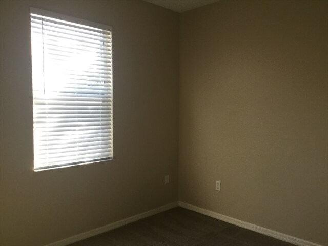 Building Photo - 3709 Cinnamon Fern Loop