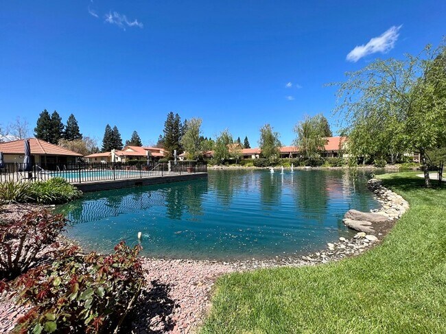 Building Photo - 64 Fountain Grove Cir