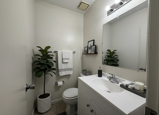 Building Photo - Bella Terra Apartments