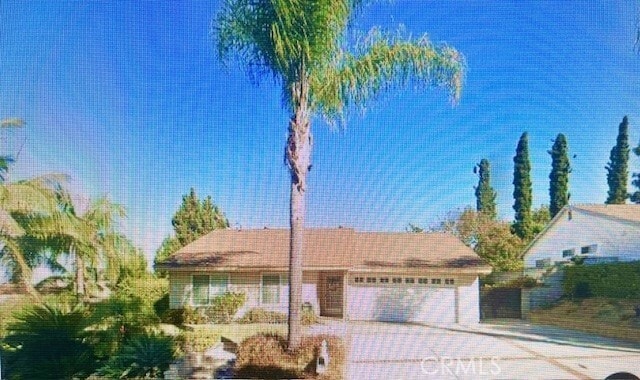 Primary Photo - 3040 Norsewood Dr