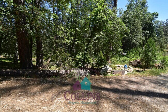 Building Photo - 12999 Capitol Dr