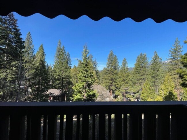 Building Photo - Month-to-month Summer Rental Condo