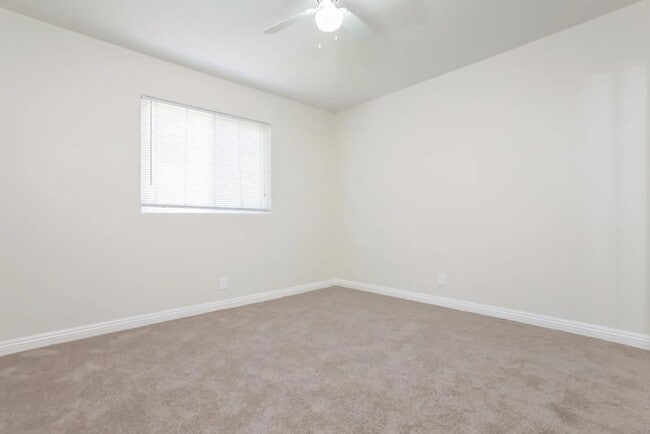 Building Photo - 363 Bard St