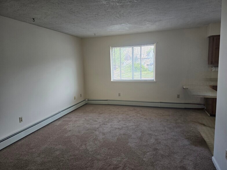 Living Room - 142 Spruce St