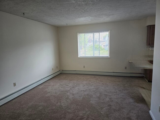 Building Photo - 142 Spruce St