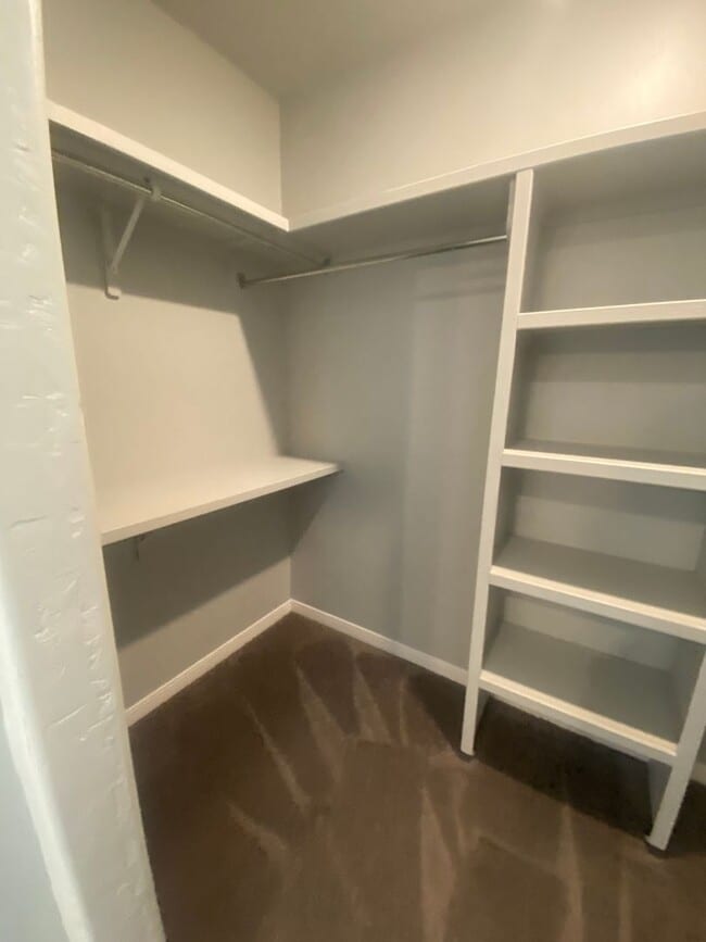 Building Photo - Beautiful Newer Home in Great Location