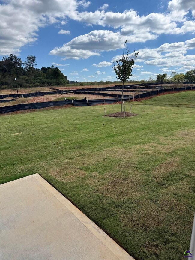Building Photo - 203 Overton Dr