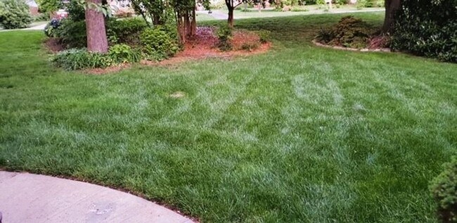 Building Photo - Coming Beginning of June!-Beautiful Home for Rent