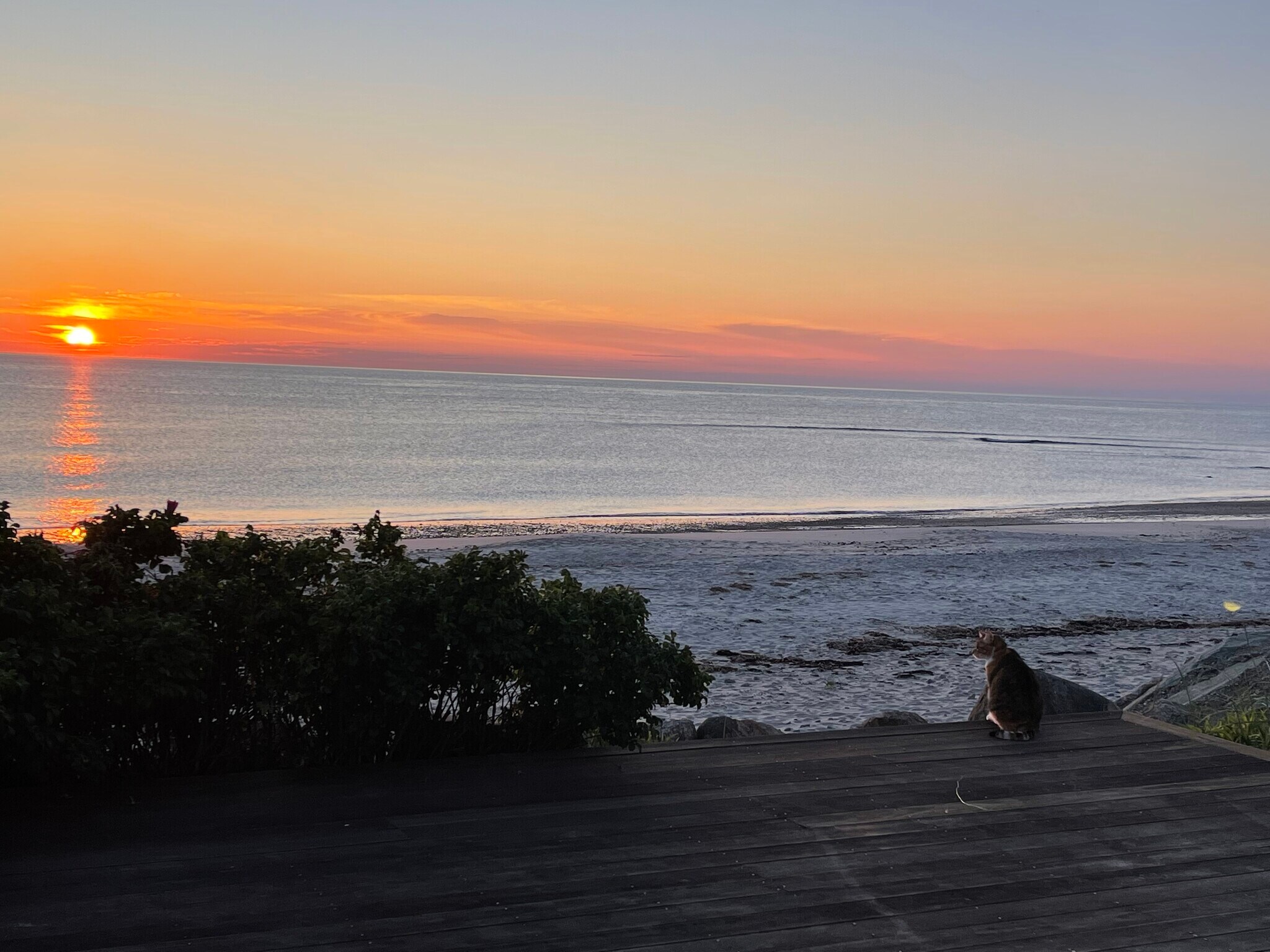 Sunrise over deck - 9 Charlotte St