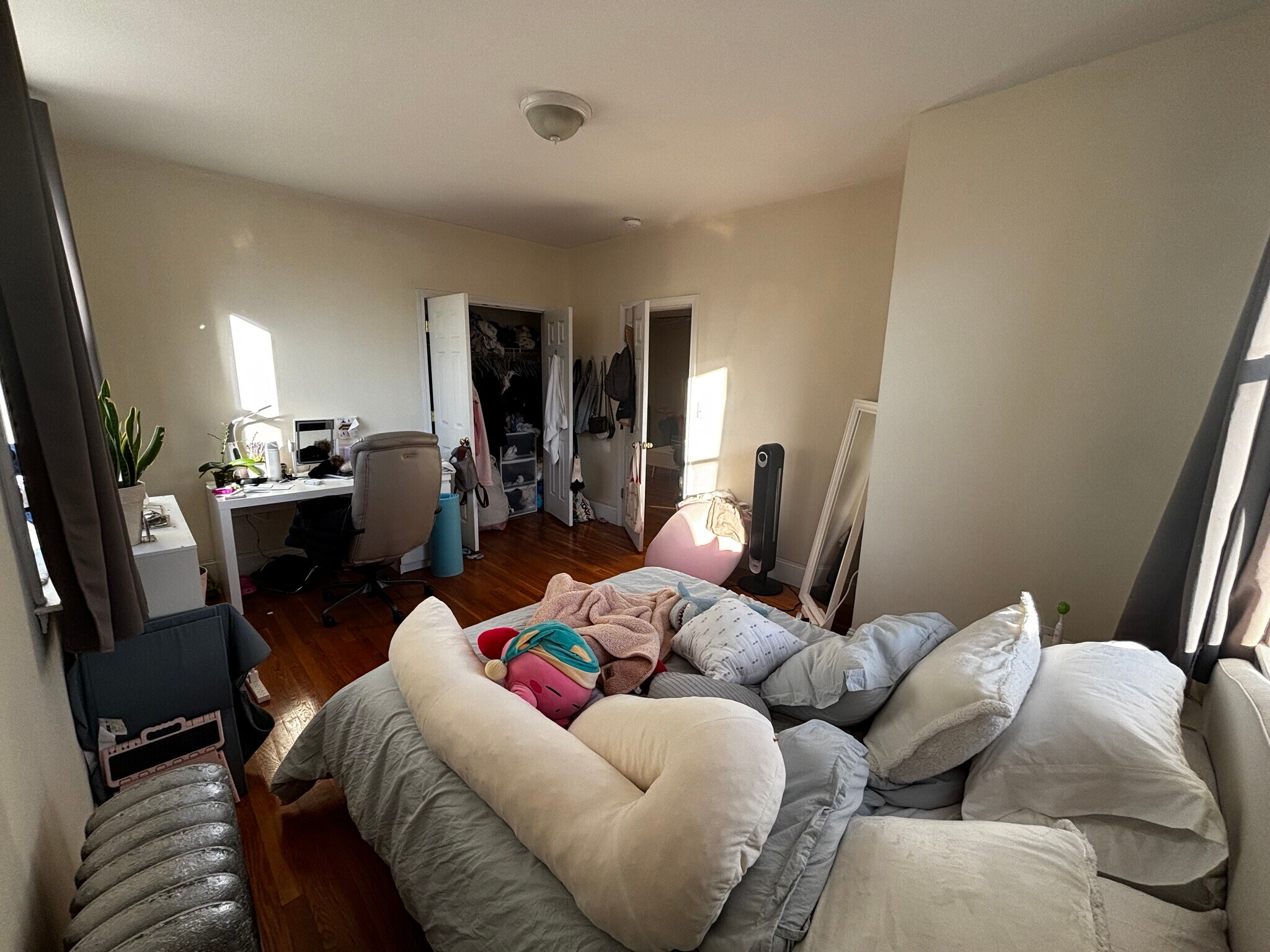 Building Photo - 66 Egmont St