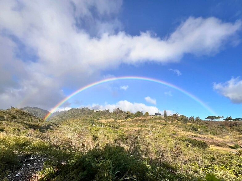 Building Photo - 1576 Elua St