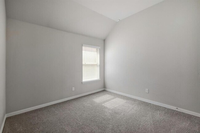 Building Photo - 3916 Joshs Cv