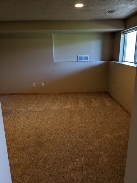Lower Family Room - 5335 Brookview Dr