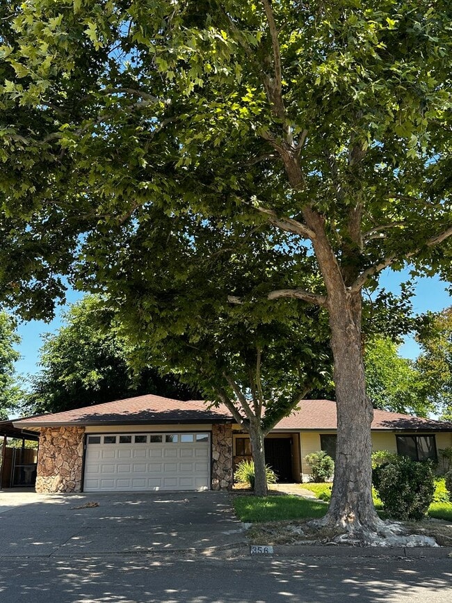 Primary Photo - Remodeled Vintage home just 1 block from t...