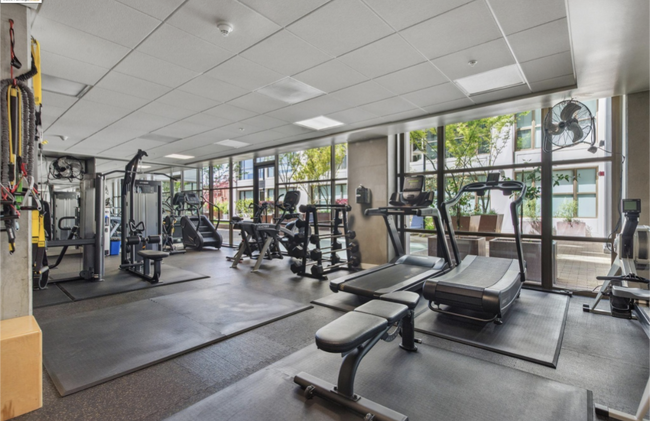 Exercise room - 311 2nd St