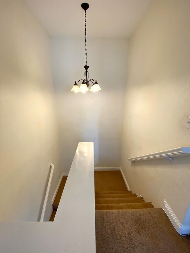 Building Photo - 1201 Trapani Cove