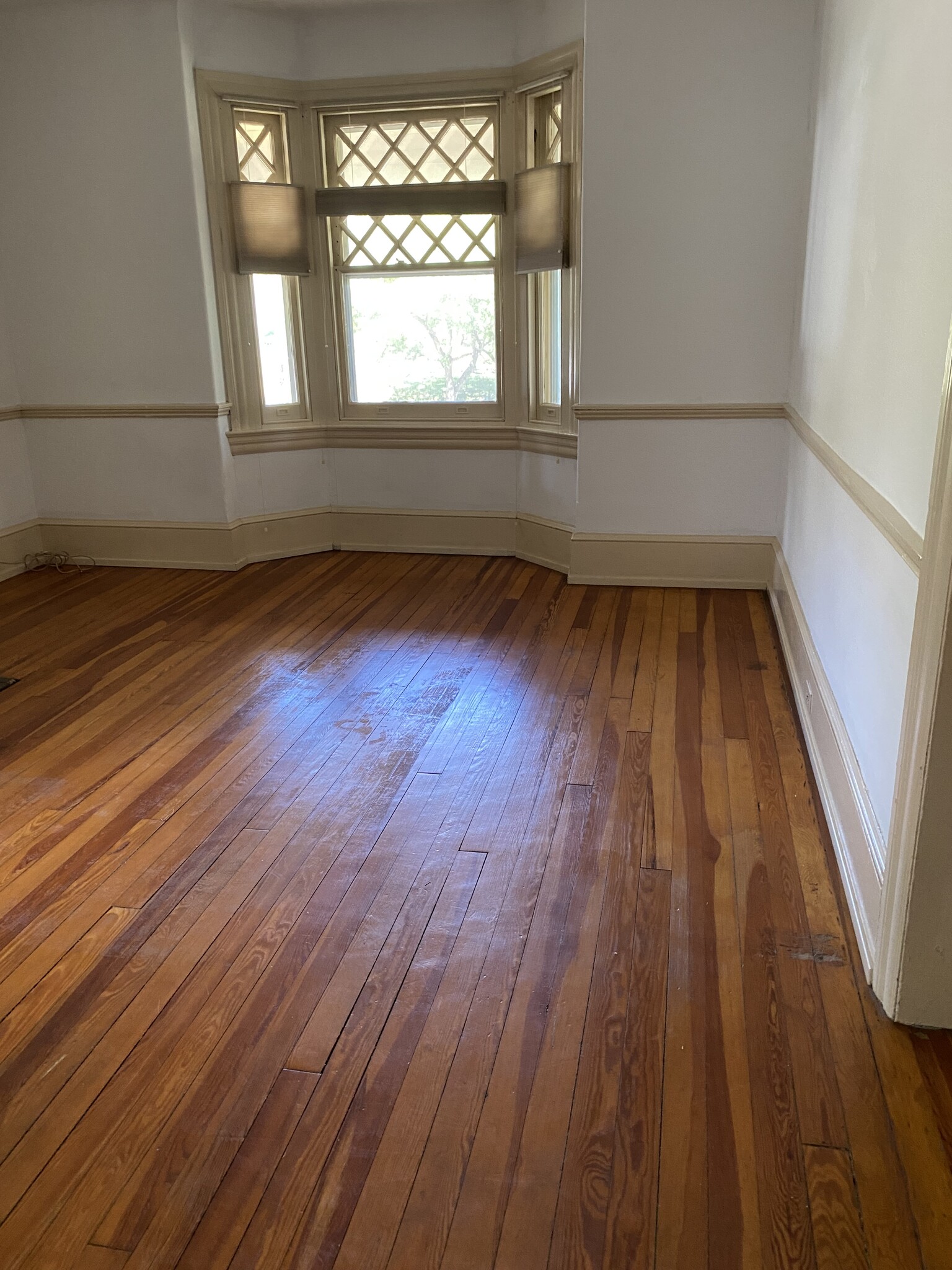 Living room - 7936 Montgomery Ave
